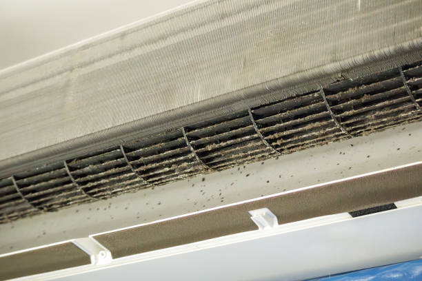 Best Residential Air Duct Cleaning  in Monongah, WV