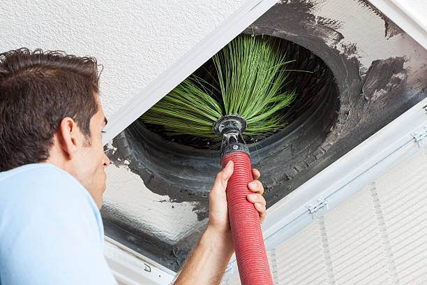 Best Ductwork Cleaning Services  in Monongah, WV